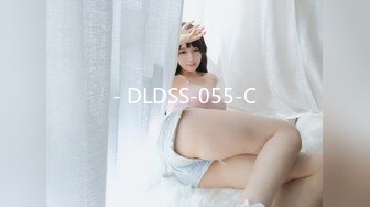 - DLDSS-055-C