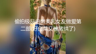 绝世女神~【toyotuback】一看就心动~大长腿~跳蛋黑牛自慰~极品尤物，喷鼻血了兄弟们 (1)