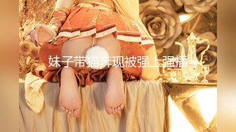 露露咪 淫蕩小女僕の特別服務