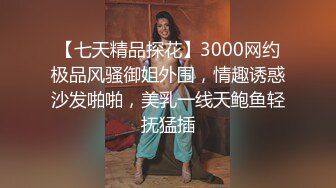 【七天精品探花】3000网约极品风骚御姐外围，情趣诱惑沙发啪啪，美乳一线天鲍鱼轻抚猛插