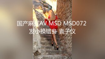 国产麻豆AV MSD MSD072 发小换错身 袁子仪