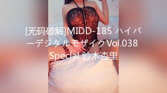 [无码破解]MIDD-185 ハイパーデジタルモザイクVol.038 Special 鈴木杏里