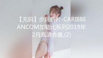 【无码】步兵新片-CARIBBEANCOM加勒比系列2019年2月高清合集,(2)