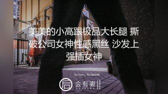 美美的小高跟极品大长腿 撕破公司女神性感黑丝 沙发上强插女神