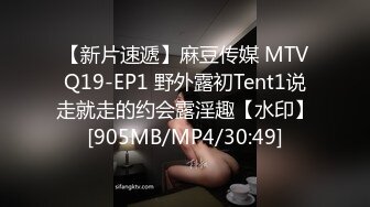 【新片速遞】麻豆传媒 MTVQ19-EP1 野外露初Tent1说走就走的约会露淫趣【水印】[905MB/MP4/30:49]