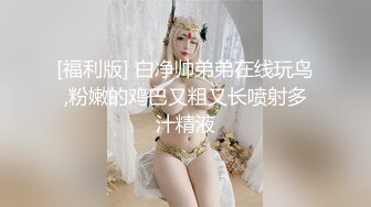 抖S麥娜會長大人被抖M筆記支配了 3