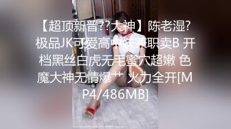 麻豆传媒女神宁洋子-桃色坏女友