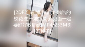 给婶婶买的礼物