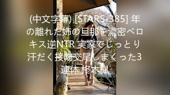 (中文字幕) [STARS-385] 年の離れた姉の旦那を濃密ベロキス逆NTR 実家でじっとり汗だく接吻交尾しまくった3連休 柊木楓