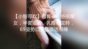 【小智寻欢】包臀裙性感按摩女，半套服务，乳推毒龙转，69姿势口交猛吸活很棒