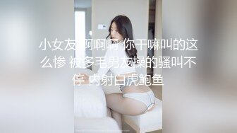 知名男模宏翔与同事的酒后激情【下集】