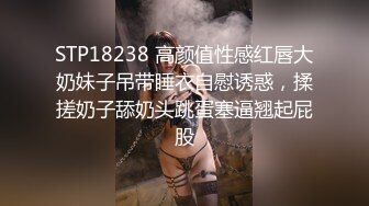 STP18238 高颜值性感红唇大奶妹子吊带睡衣自慰诱惑，揉搓奶子舔奶头跳蛋塞逼翘起屁股