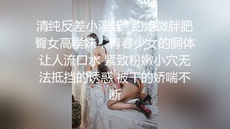 悉尼黑丝少妇撕破后入