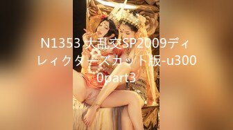 N1353 大乱交SP2009ディレィクターズカット版-u3000part3