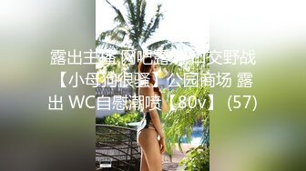 露出主播 网吧露奶 口交野战【小母狗很骚】公园商场 露出 WC自慰潮喷【80v】 (57)