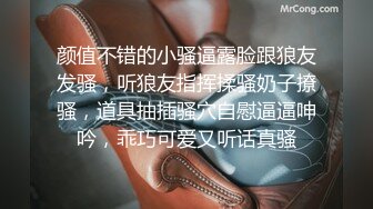 麻豆传媒 MD-0190-2 我是苏畅我回来了 柔美少女正式回归 人群背后的玩火露出