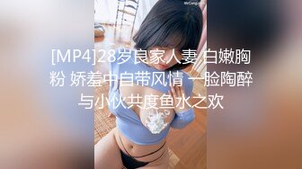 [MP4]28岁良家人妻 白嫩胸粉 娇羞中自带风情 一脸陶醉与小伙共度鱼水之欢