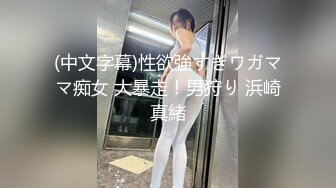 (中文字幕)性欲強すぎワガママ痴女 大暴走！男狩り 浜崎真緒