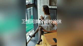 卫生间黄金调教涂抹