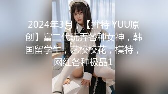 2024年3月，【推特 YUU原创】富二代玩弄各种女神，韩国留学生，艺校校花，模特，网红各种极品1