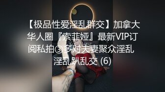 【极品性爱淫乱群交】加拿大华人圈『索菲娅』最新VIP订阅私拍③多对夫妻聚众淫乱 淫乱趴乱交 (6)