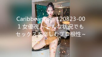 Caribbeancom 120823-001 女優魂 ～どんな状況でもセックスを楽しむプロ根性～