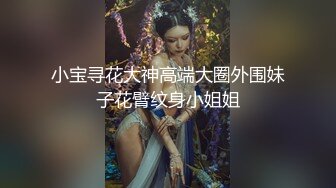 小宝寻花大神高端大圈外围妹子花臂纹身小姐姐