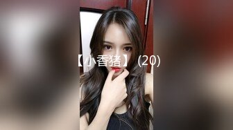 【小香猪】 (20)