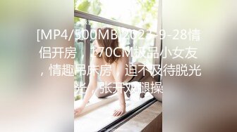 [MP4/500MB]2023-9-28情侣开房，170CM极品小女友，情趣吊床房，迫不及待脱光光，张开双腿操