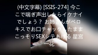 (中文字幕) [SSIS-274] 今ここで喘ぎ声出したらイケナイでしょう？ お姉さんがベロキスでお口チャックしたままこっそりSEXシテあげる 星宮一花