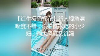 【红牛极品探花】新人视角清晰度不错，偷拍良家范的小少妇，胸大风骚又饥渴