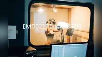 【MD0217】换母荡元宵