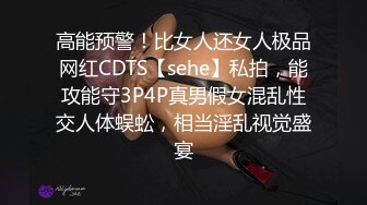 高能预警！比女人还女人极品网红CDTS【sehe】私拍，能攻能守3P4P真男假女混乱性交人体蜈蚣，相当淫乱视觉盛宴