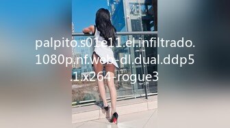 palpito.s01e11.el.infiltrado.1080p.nf.web-dl.dual.ddp5.1.x264-rogue3