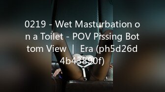 0219 - Wet Masturbation on a Toilet - POV Pissing Bottom View ｜ Era (ph5d26d4b43890f)