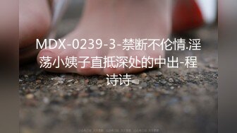 MDX-0239-3-禁断不伦情.淫荡小姨子直抵深处的中出-程诗诗